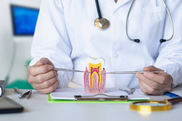Best 24-Hour Emergency Dentist  in Kingsley, MI